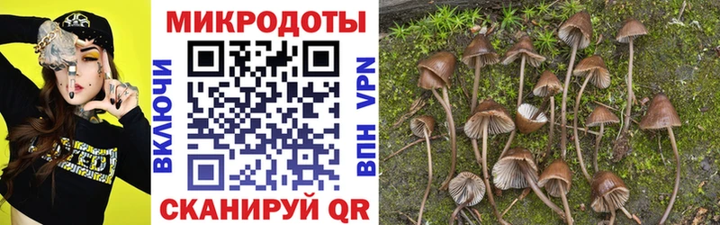 Псилоцибиновые грибы Magic Shrooms купить закладку Обнинск