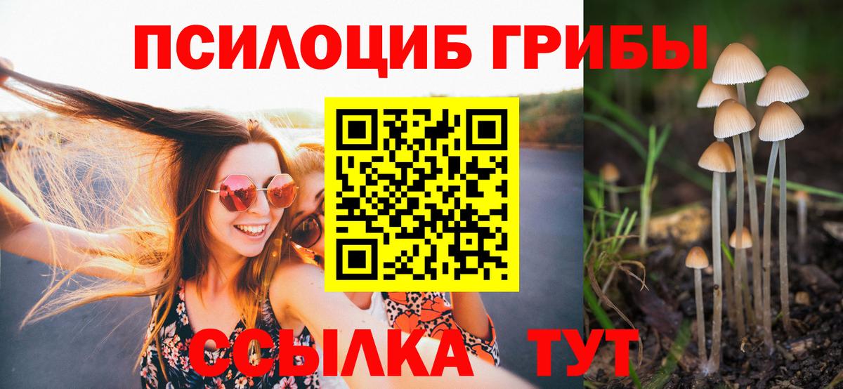 Обнинск  Галлюциногенные грибы Psilocybine cubensis  Вход с VPN 